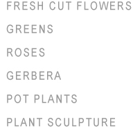Fresh cut flowers catalog. Cut flowers, foliage, foliage, roses, gerbera, pot plants, exotic plants, exotics, plant sculpture.